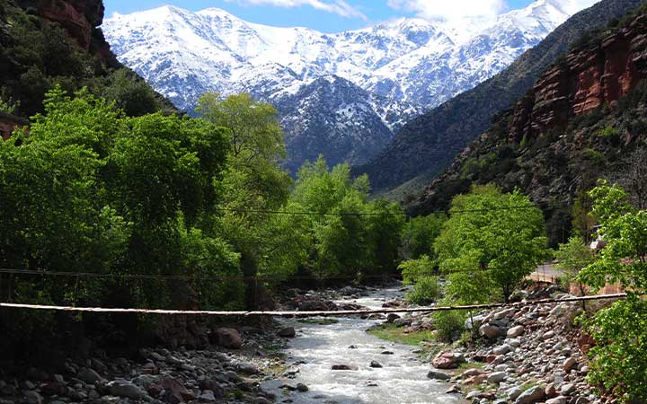 Excursion to Ourika Valley