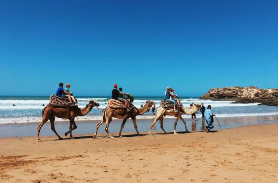Desert & Atlantic Tour – 6 Days