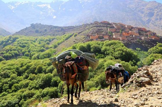 Excursion to Imlil