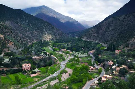 Excursion to Ourika Valley