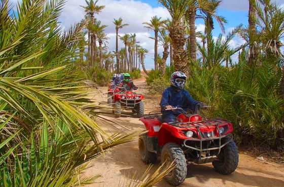 Quad biking in the Marrakech palm grove (Palmeraie)